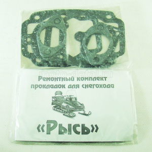 Набор прокладок двигателя Рысь (6шт)